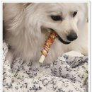 건강한우리 | 건강한 강아지 간식 추천 건강 보양식 후기