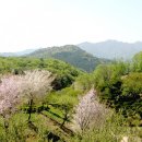 더좋은펜션캠핑장 이미지