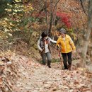 비산한의원 이미지