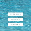 제주모두여행사