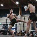 천하 태권도 이미지