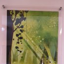 보림초등학교 이미지