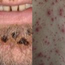 88플러스내과의원 이미지