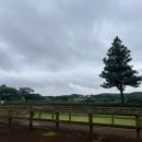 요나목장 이미지