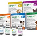 인천반려동물농장 이미지