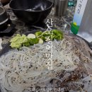 오대감산오징어 | [대구 서구 맛집] 솔직후기 – 산오징어부터 매운탕까지 싹 다 먹어봄!