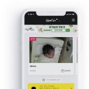 세이프케어 이미지