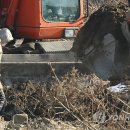 남면축산 이미지