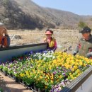 소소한향기 이미지