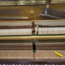 롯데이화음악학원 이미지