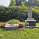 심상우 묘 이미지