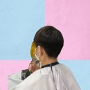 헤어두비취 이미지