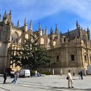스페인 안달루시아 지방 세비야(Sevilla) 대성당 이미지
