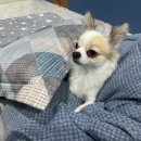 아라뜰펜션 이미지