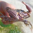 바다위에 이미지