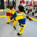 용인대 역동 태권도장 이미지