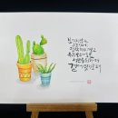 플러스펜 수채 캘리그라피 이미지