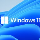 윈도우 11 근황 이미지