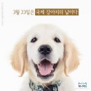 세계 강아지의 날 트윗 모음 이미지