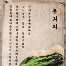 오늘은뼈다귀 티스토리