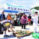 콩마을돼지마을