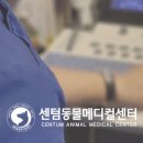 세려메디칼 이미지