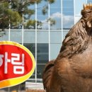 하림메디칼 이미지