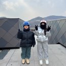 청도소싸움테마파크 | 부산·대구 근교 청도 가볼만한곳 아이들과 주말 나들이 군파크 루지 테마파크