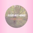 [경기도/과천] 과천 아이와 가기좋은전시회,과천원더파크×베베핀♡