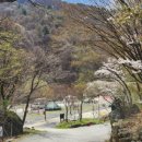 깊은골캠핑장 이미지