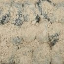 창원도계부부시장 이미지