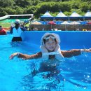 서지마을영농조합법인 | 청양 워터파크 청양알프스마을수영장 물놀이 후기