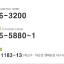 대관령절임배추