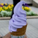 달달한아이스크림 - 동구 아양로39길 21 | 달달한아이스크림