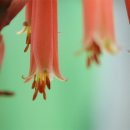 바다솔정원펜션 이미지