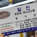 일진상회