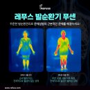 레푸스 - 남양주시 별내중앙로 10 | 레푸스