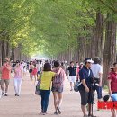 가로수자산관리