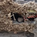 적음농장 이미지