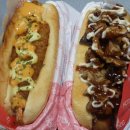 도그싸롱 이미지