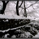 종화농장 이미지