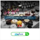 정선하늘터 네이버블로그