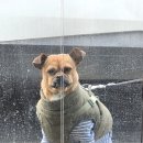 연화2경로당 이미지