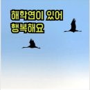 핸드폰정상 으로 복구 이미지