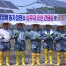 황금 태양광발전소 이미지