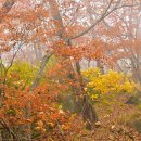 적상주유소 이미지