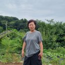 춘포면행정복지센터 Daum카페