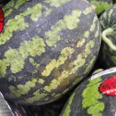 오안과의원 이미지