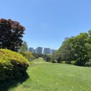 캐슬렉스서울GC