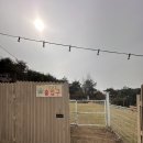 쿠쿠숲 | 경남 밀양 애견펜션 수영장있는 독채펜션 쿠쿠숲펜션 바베큐까지하고온 후기